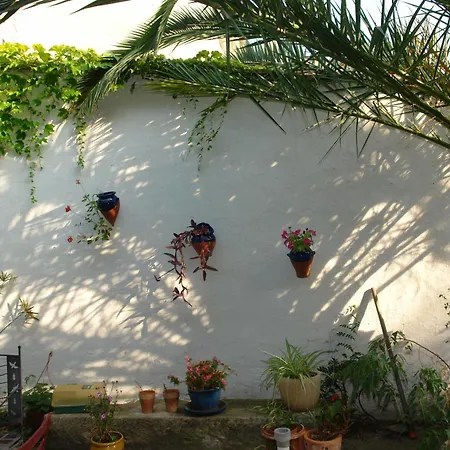 Dans Maison De Caractere Nîmes