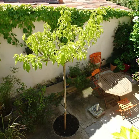 Pansiyon Dans Maison De Caractere